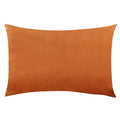 Axyaa Velvet Throw Pillow Cover 30*50cm - Soft & Cozy Home Decor