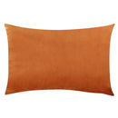 Axyaa Velvet Throw Pillow Cover 30*50cm - Soft & Cozy Home Decor