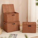 Axyaa Imitation Rattan Woven Storage Box with Lid - Home Organizer Basket