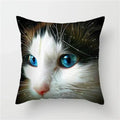 Axyaa Cute Cat Animal Pillowcase for Sofa Decoration in Living Room