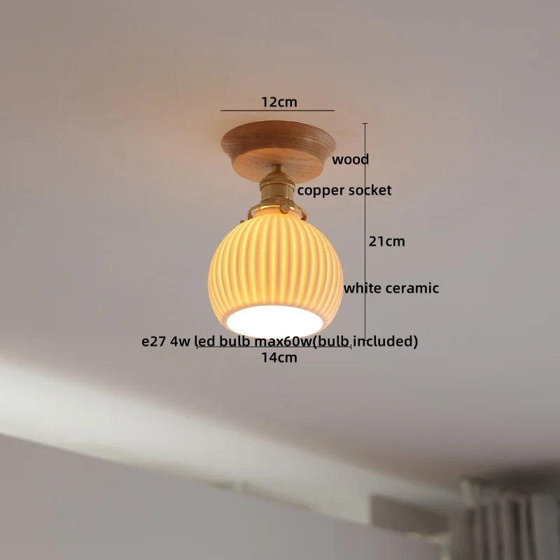 Nordic Modern Axyaa Glass LED Ceiling Lamp for Home Restaurant Balcony Lighting