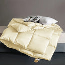 Axyaa Winter Quilt Core - Thickened, Warm, Single, Student Dormitory, Four Seasons