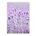 Axyaa Lavender Field Canvas Wall Art Nordic Style Landscape Posters