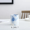 Axyaa Marble Ceramic Succulent Planter Set