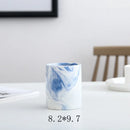 Axyaa Marble Ceramic Succulent Planter Set