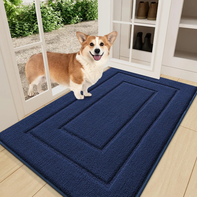 Axyaa Low-Profile Indoor Doormat, Non-Slip Washable Floor Mat for Entryway