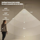 Axyaa LED Ceiling Spotlight - Adjustable Indoor Wall Lamp Light