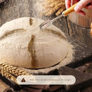 Axyaa Bread Banneton Proofing Basket Set: Oval & Round Sourdough Baskets for Baking Fermentation