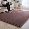 Axyaa 2cm Coral Fleece Carpet | Custom Size | Thickened | Branded Quality