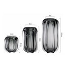 Axyaa Glass Vase Clear Thick Hydroponics Terrarium Home Decor Accessory