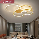 Axyaa LED Ring Ceiling Light - Gold/Black Chandelier for Home Decor