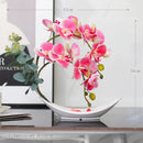 Axyaa Simulated Butterfly Orchid Ceramic Flowerpot Set for Home Decoration