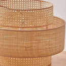 Axyaa Rattan Ceiling Lamps for Home Decor & Lighting