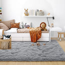 Axyaa Soft Silky Carpet for Living Room Sofa, Kids Bedroom Decor Plush Shaggy Area Rug