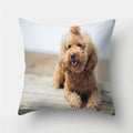 Axyaa Pug Dog Print Cushion Cover Throw Pillow for Sofa Living Room Decor