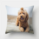Axyaa Pug Dog Print Cushion Cover Throw Pillow for Sofa Living Room Decor