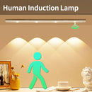 Axyaa Motion Sensor LED Bar Light 3 Colors for Cabinet Wardrobe Kitchen Display