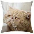 Axyaa Cute Cat Pillowcase Bubble Black  Kids Gift Decor Custom