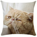 Axyaa Cute Cat Pillowcase Bubble Black  Kids Gift Decor Custom