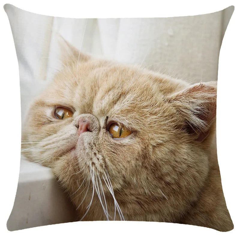 Axyaa Cute Cat Pillowcase Bubble Black  Kids Gift Decor Custom