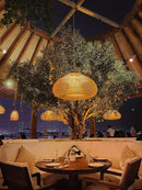 Axyaa Rattan Ceiling Chandelier Japan Kitchen Island Lamp Loft Pendant Lights