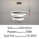 Axyaa Minimalist Art Ceiling Lamp White Black Pendant High-end Indoor Lighting