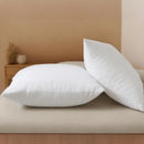 Axyaa White Pillow Inserts Set for Couch Sofa Bed - 30x50cm 45x45cm 50x50cm