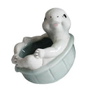 Axyaa Turtle Succulent Plant Pot Garden Flower Vase Cute Balcony Decor Pot