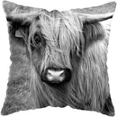 Axyaa Highland Cat Cow Yak Animal Pillowcase for Stylish Home Decor