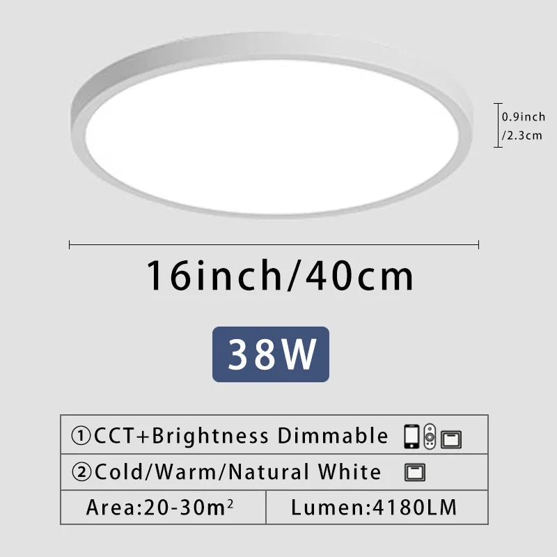 Axyaa 20" LED Smart Ceiling Lamp with Remote Control for Bedroom and Living Room