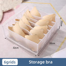 Axyaa Mesh Underwear Drawer Organizers for Closet Wardrobe Storage