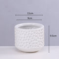 Axyaa Gold Ceramic Succulent Flowerpot Vase Balcony Decor Plant Pots