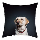 Axyaa Cat Dog Pet Polyester Pillow Cover Cushion Cover Home Sofa Decor 45x45cm