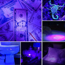 Axya 21LED UV Blacklight Flashlight for Pet Urine Detection Scorpion Tracker