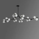 Axyaa Black Gold LED Glass Ball Chandelier for Living Room Kitchen Bedroom Decor