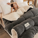 Axyaa Winter Fleece Blanket | Soft & Warm Cashmere Weighted Comforter Core