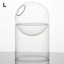 Axyaa Vintage Glass Vase for Tabletop Plants and Flower Arrangements