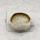 Axyaa Stone Bowl Set for Soup, Dessert, Snacks, Sushi - Creative Irregular Tableware
