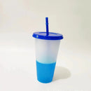 Axyaa Color Changing Cups - 710ml Reusable Tumblers with Lids and Straws