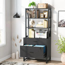 Axyaa 2 Drawer Vertical File Cabinet with Lock and Bookshelf, Modern Filing Printer Stand