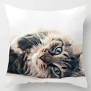 Axyaa Cute Cat Hug Pillowcase Interactive Cushion for Home Sofa Decor