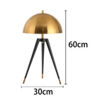 Axyaa Modern Floor Lamps for Living Room, Bedroom, and Home Decor