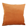 Axyaa Velvet Throw Pillow Cover - Ultra Soft Comfortable Home Decoration