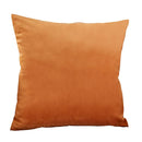 Axyaa Velvet Throw Pillow Cover - Ultra Soft Comfortable Home Decoration