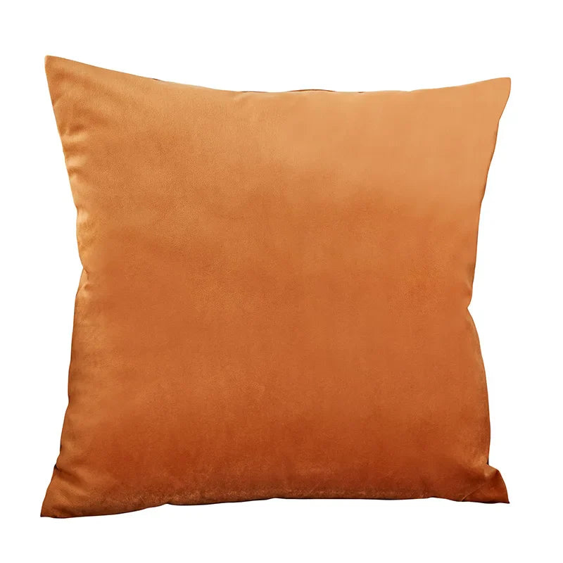 Axyaa Velvet Throw Pillow Cover - Ultra Soft Comfortable Home Decoration