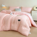 Axyaa Fluffy Warm Duvet Insert: Thick Autumn Winter Comforter Quilt for Bed