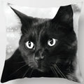 Axyaa  Black Cat Pillowcase  Decorative Square Cushion Cover 45*45cm