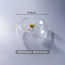 Axyaa Glass Double Sided Bowl Set for Desserts, Snacks, Fruits, and Dim Sum