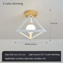Axyaa Modern Nordic Ceiling Light for Hallway, Bedroom, Kitchen, Living Room