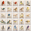 Birds Painting Cushion Cover - Axyaa Collection: Robin, Titmouse, Toucan, Sparrow, Firecrest, Cardinal, Bullfinch